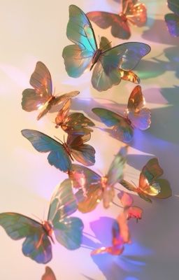 anh đã yêu em chưa?