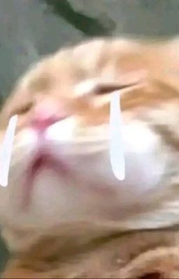 Ảnh hậu xuyên nhanh: Bệnh kiều trung khuyển lại ngoan lại hung