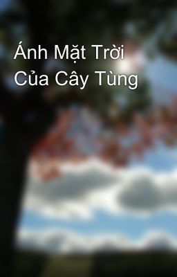 Ánh Mặt Trời Của Cây Tùng 