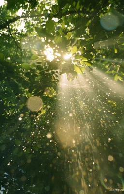 Ánh nắng mùa ban mai