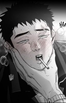 Ánh sáng nhỏ trong tim Lâm Hàn An 