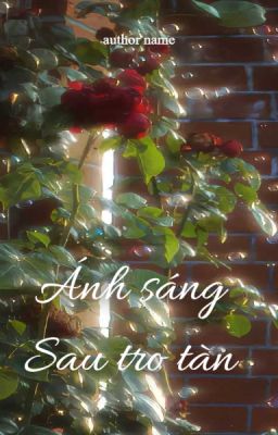 Ánh sáng sau tro tàn