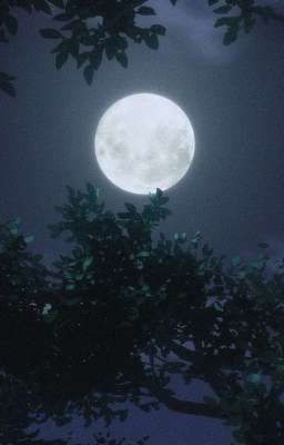 Ánh trăng đêm và cơn mưa mùa hạ