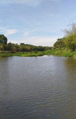 Anh và em