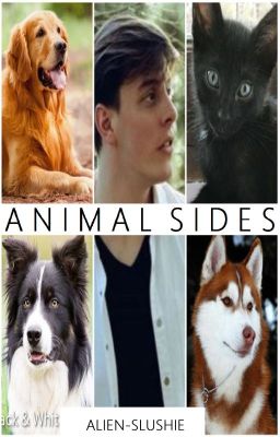 Animal Sides(Sanders Sides Au Short Story)