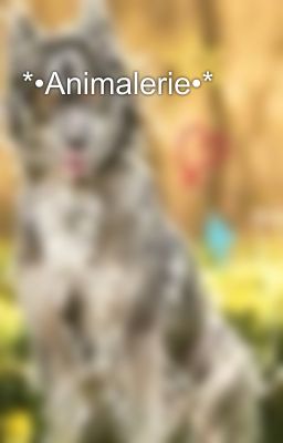 *•Animalerie•*