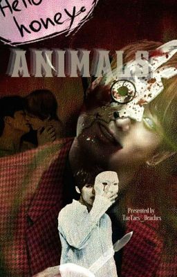 Animals √ | KOOKV