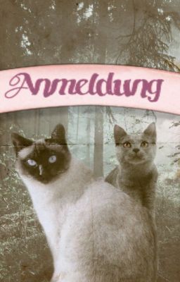 Anmeldung