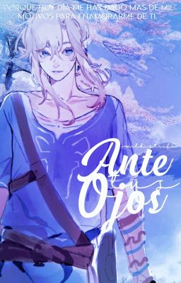 Ante Tus Ojos | Link x Lectora