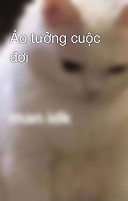 Ảo tưởng cuộc đời