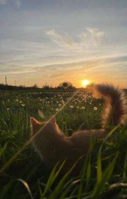 • aov | my otp | myself •