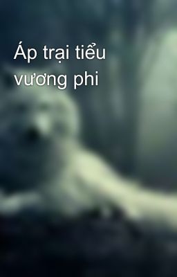 Áp trại tiểu vương phi