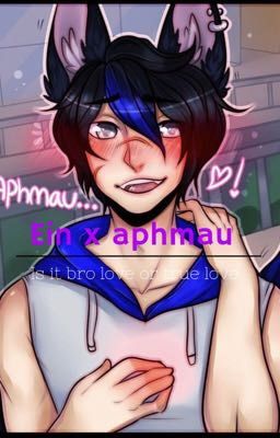 aphmau x ein