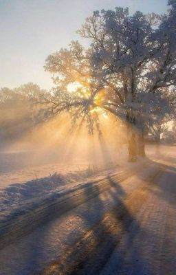 apricity.