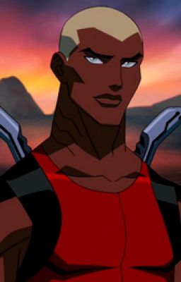 Aqualad (Young Justice) x reader | framed teammate