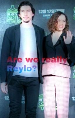 Are We Really Reylo?