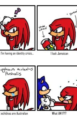 Are You a Sonic Fangirl?