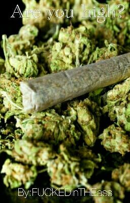 Are you high?
