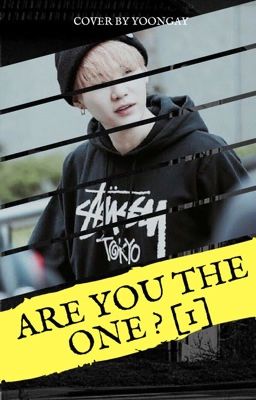 Are You The One ? ~ yoonmin [Tome 1]