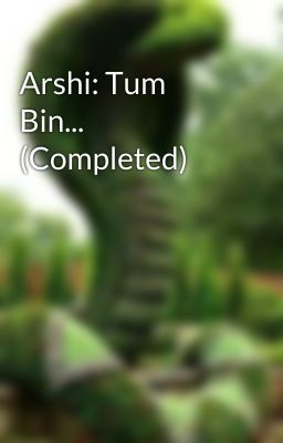 Arshi: Tum Bin... (Completed)