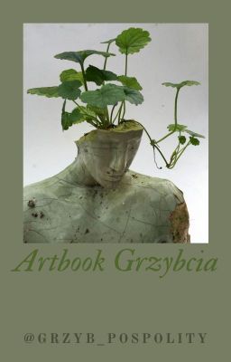 Artbook Grzybcia