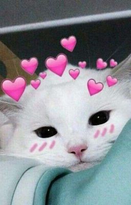 [Artbook] Ổ trash.