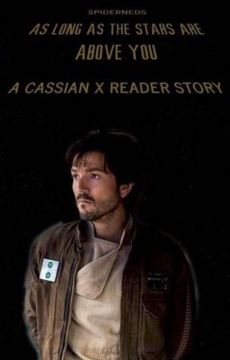 AS LONG AS THE STARS ARE ABOVE YOU [A CASSIAN ANDOR x READER STORY]