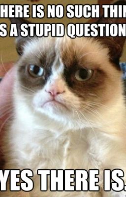 Ask a Stupid Question,  Get a Stupid Answer