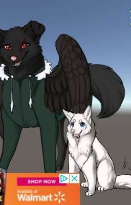 Ask and dare wolf ocs