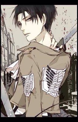 Ask lance corporal Levi 