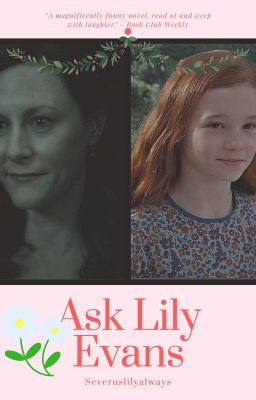 ask lily evans