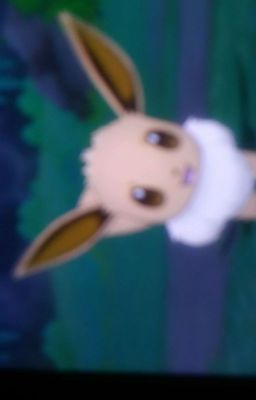 Ask the 10 deadly eevee sisters