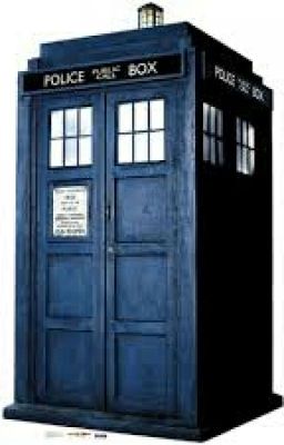 Ask The TARDIS