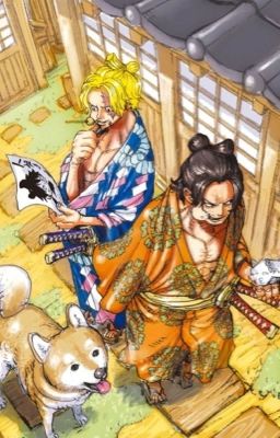 『ASL|OnePiece』Đừng khóc nữa!