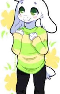 asriel insta 