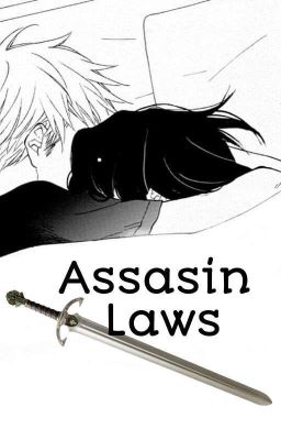 Assasin Laws (Yaoi story)