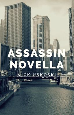 Assassin Novella