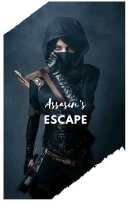 Assassin's escape 