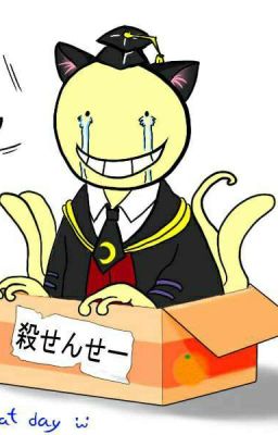 Assassination classroom X Reader