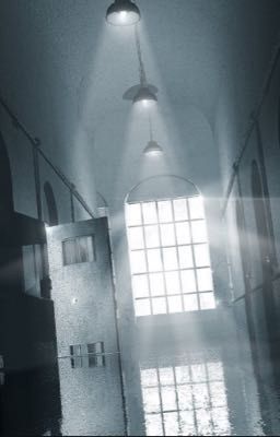 Asylum Rp