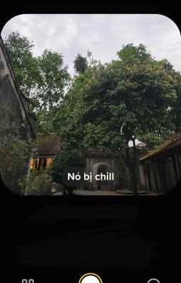 [atsh.1] bùng binh lắm vậy.