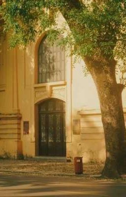 ATSH - Bàn Tay Trong Hào Quang