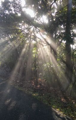 atsh ; đài truyền hình 