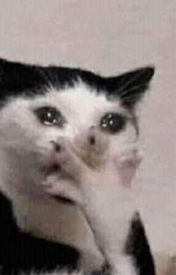 [ Atsh2 ] REQUEST ĐÊ WRITE BLOCK RỒI!!