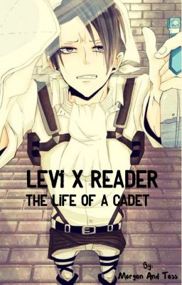 Attack On Titan Levi Heichou X Reader: The Life of a Cadet 