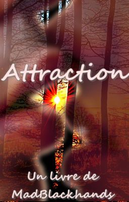 Attraction <FanFiction de 