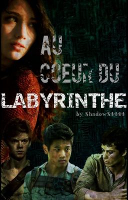 Au cœur du Labyrinthe (Newt)