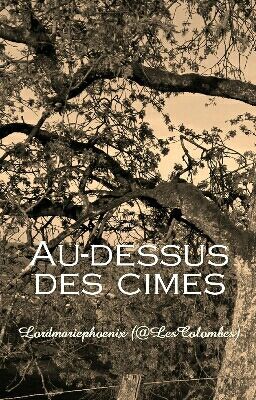 Au-dessus des Cimes, @LesColombes 