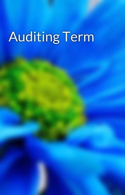 Auditing Term