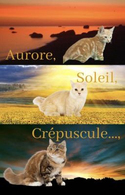 Aurore, Soleil, Crépuscule...